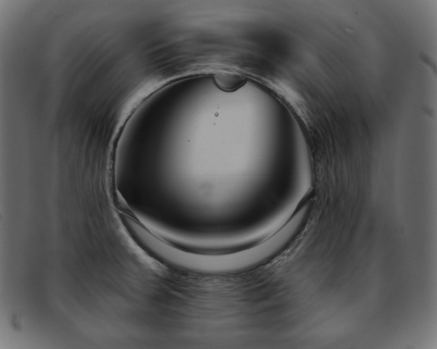 X0000093761379200710161215
