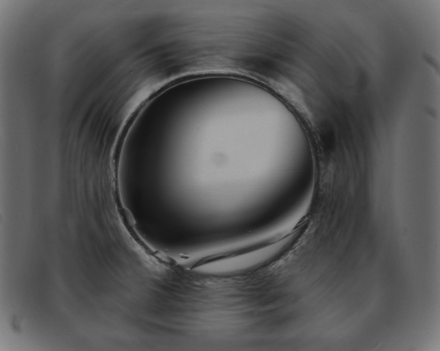 X0000093761380200710161215