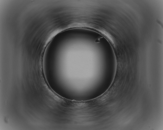 X0000093761382200710161215