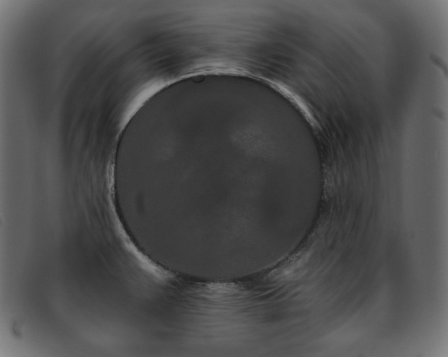 X0000093761383200710161215