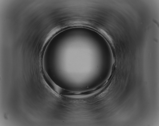 X0000093761384200710161215