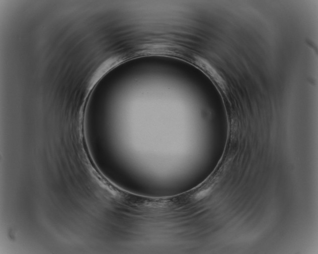 X0000093761386200710161215