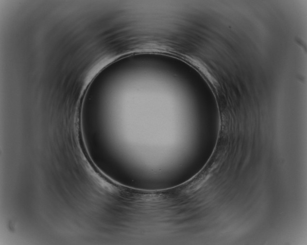 X0000093761387200710161215