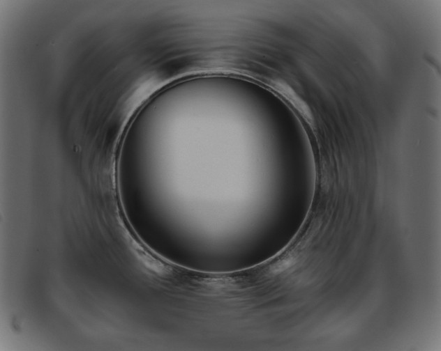 X0000093761388200710161215