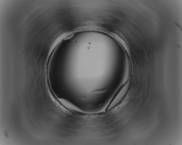 X0000093761389200710161215