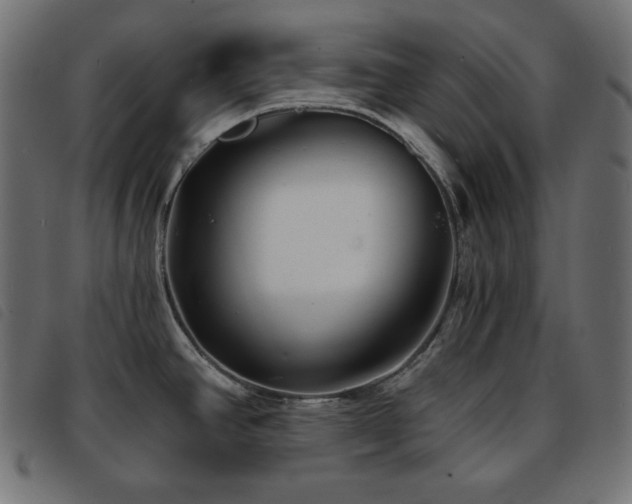 X0000093761390200710161215