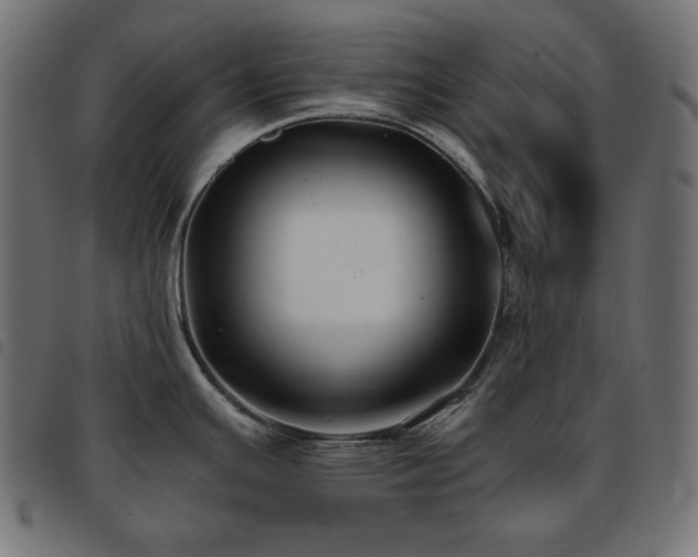 X0000093761391200710161215