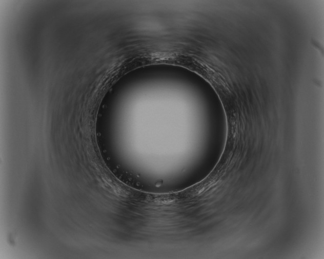 X0000093761393200710161214