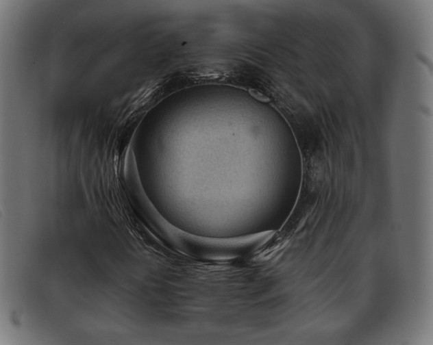 X0000093761394200710161214