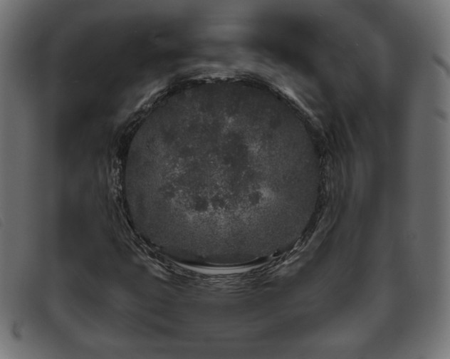 X0000093761399200710161214