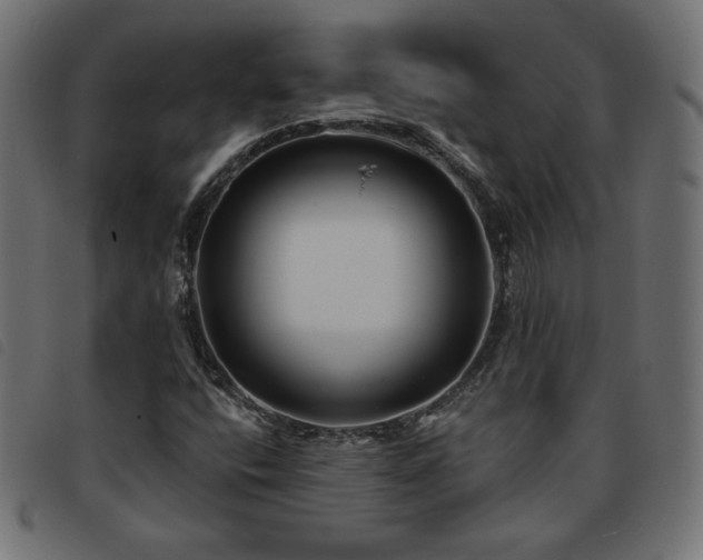 X0000093761400200710161214
