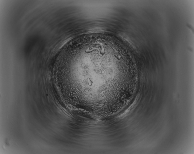 X0000093761401200710161214
