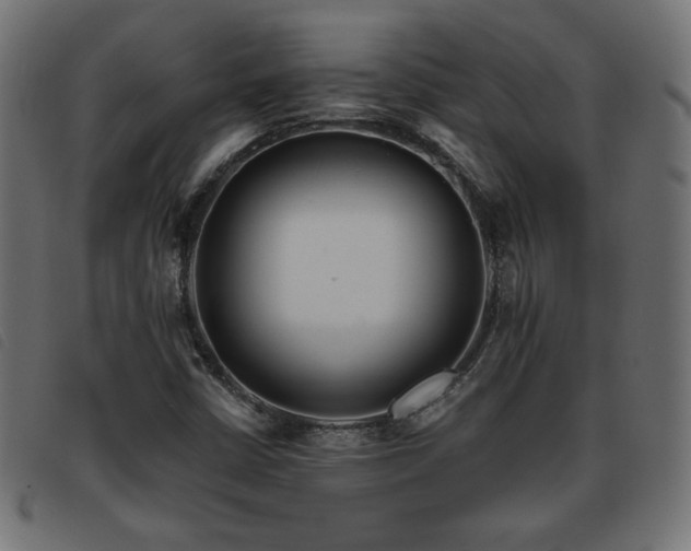 X0000093761402200710161214