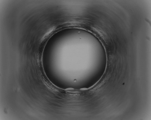 X0000093761403200710161214