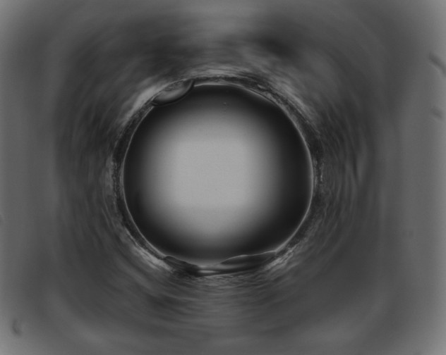 X0000093761404200710161214