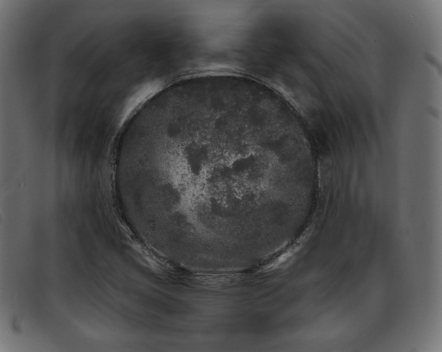 X0000093761405200710161214