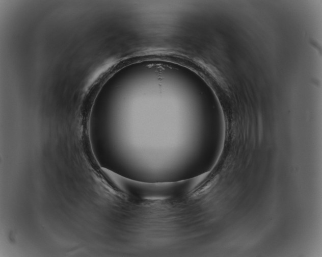 X0000093761406200710161214