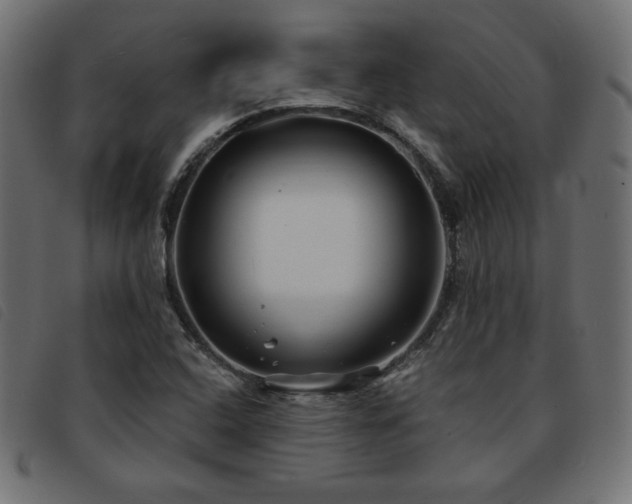 X0000093761408200710161214