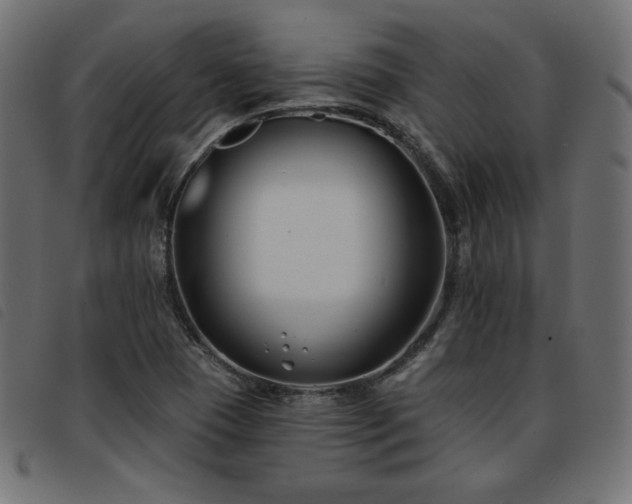 X0000093761409200710161214