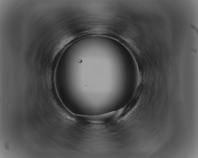 X0000093761410200710161214