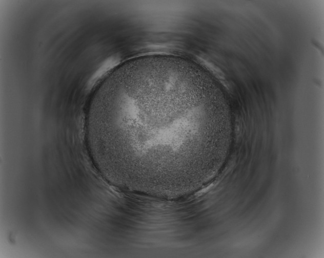 X0000093761411200710161214