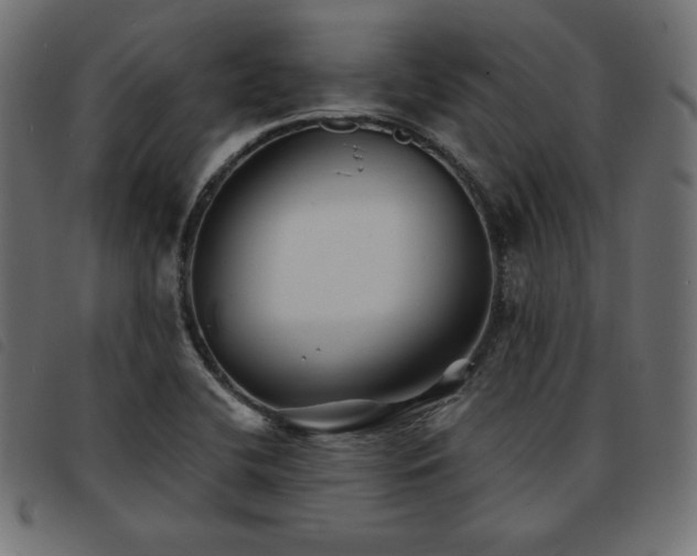 X0000093761412200710161214