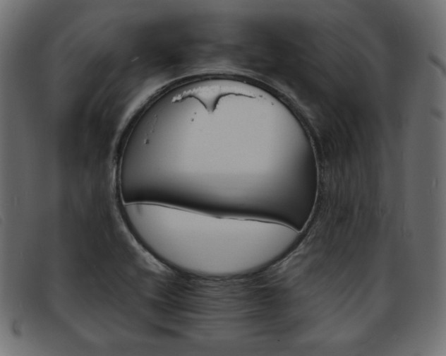 X0000093761416200710161214