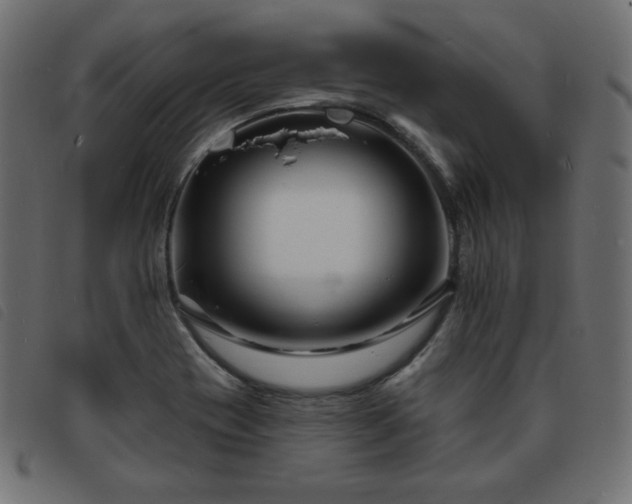 X0000093761417200710161214