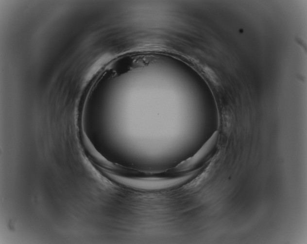 X0000093761422200710161214