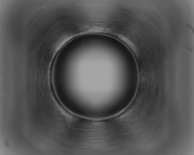 X0000093761423200710161214