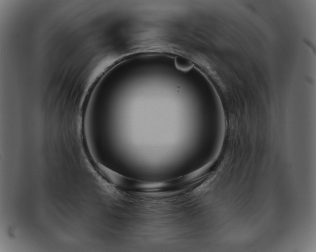 X0000093761424200710161214