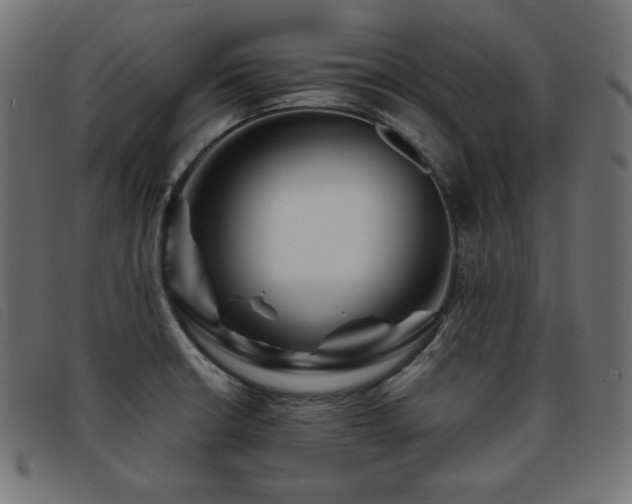 X0000093761426200710161214