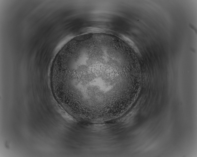 X0000093761427200710161214