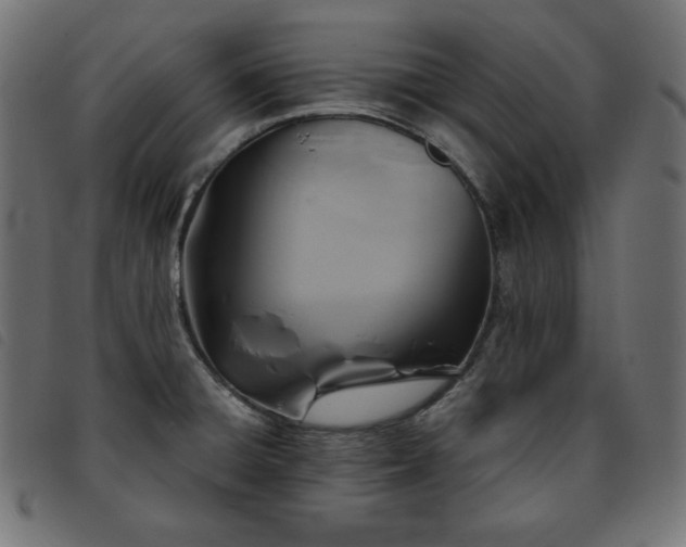 X0000093761428200710161214