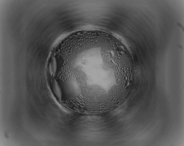 X0000093761429200710161214
