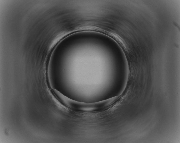 X0000093761430200710161214