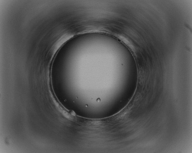 X0000093761431200710161215