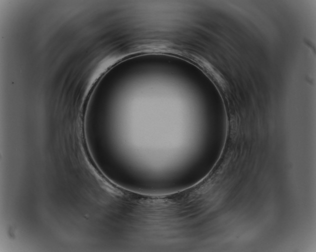 X0000093761432200710161215