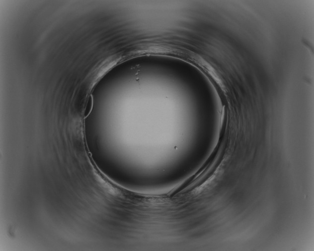 X0000093761433200710161215