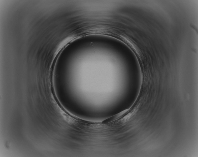 X0000093761434200710161215