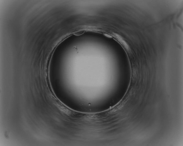 X0000093761435200710161215