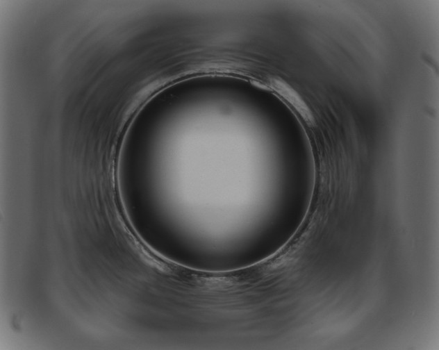 X0000093761436200710161215