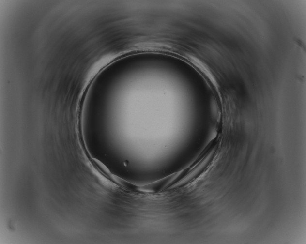 X0000093761437200710161215