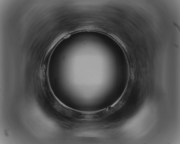 X0000093761438200710161215