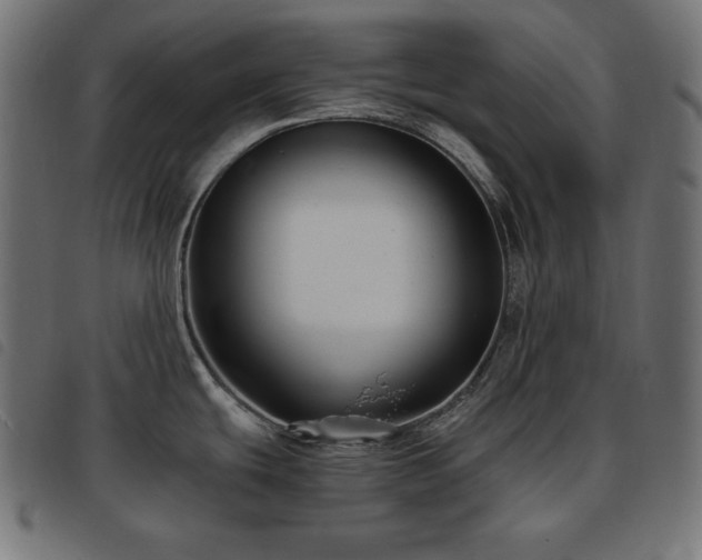 X0000093761439200710161215