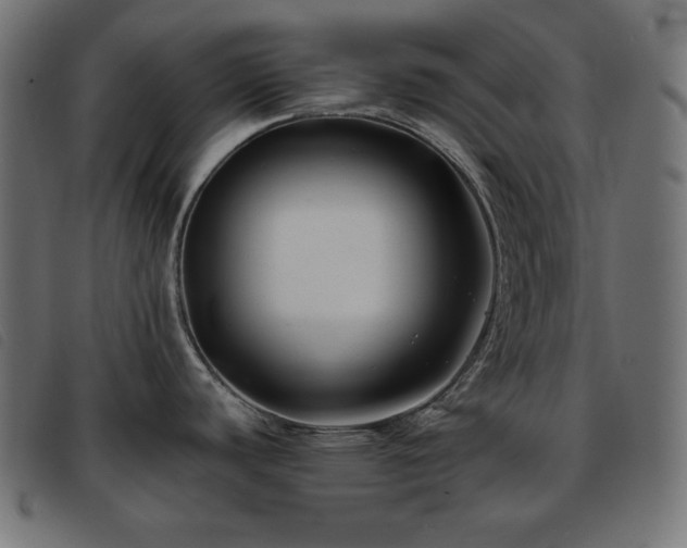 X0000093761440200710161215