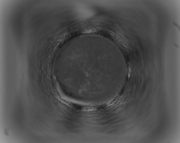 X0000093761441200710161214