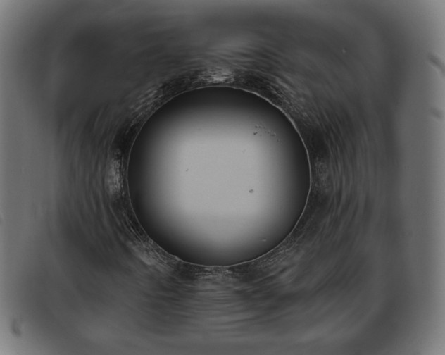 X0000093761442200710161214