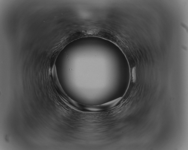 X0000093761443200710161214