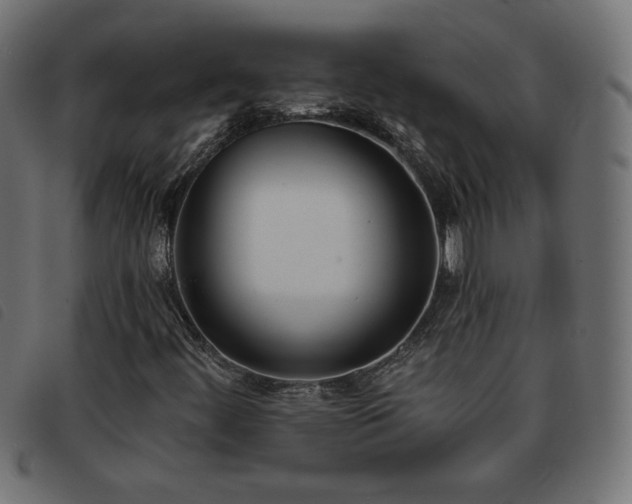 X0000093761444200710161214